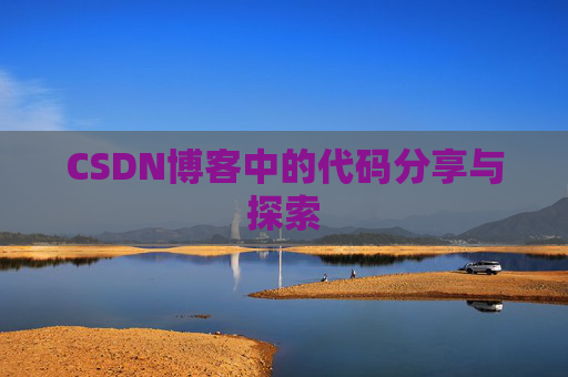 CSDN博客中的代码分享与探索